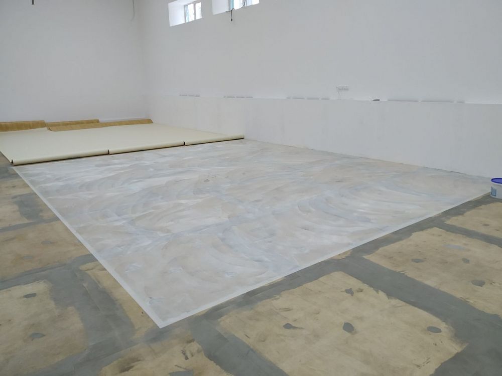 МАУ ДО СШСТ "Надежда" г. Химки